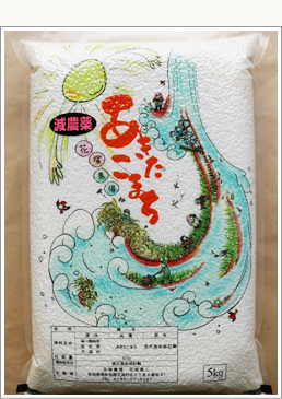 ���������܂��@���_��͔|��