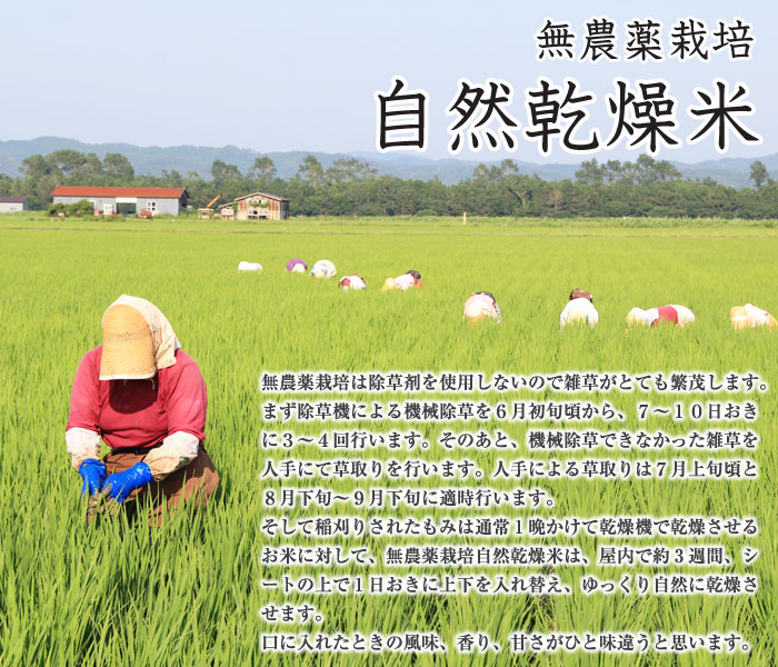 あきたこまち 無農薬栽培自然乾燥米