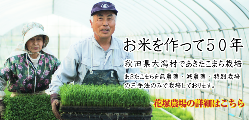 あきたこまち 無農薬栽培、減農薬栽培　特別栽培米 通販　産地直送